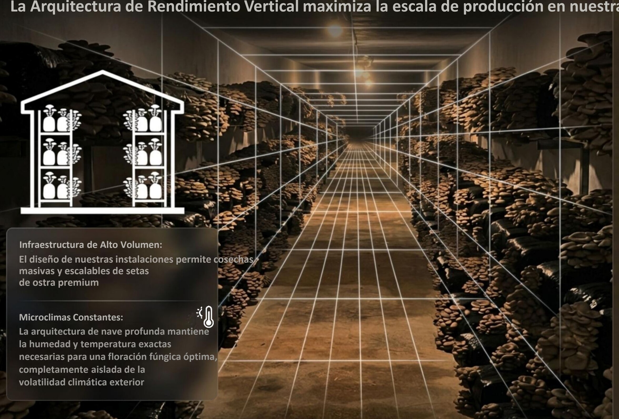 Instalaciones de cultivo vertical