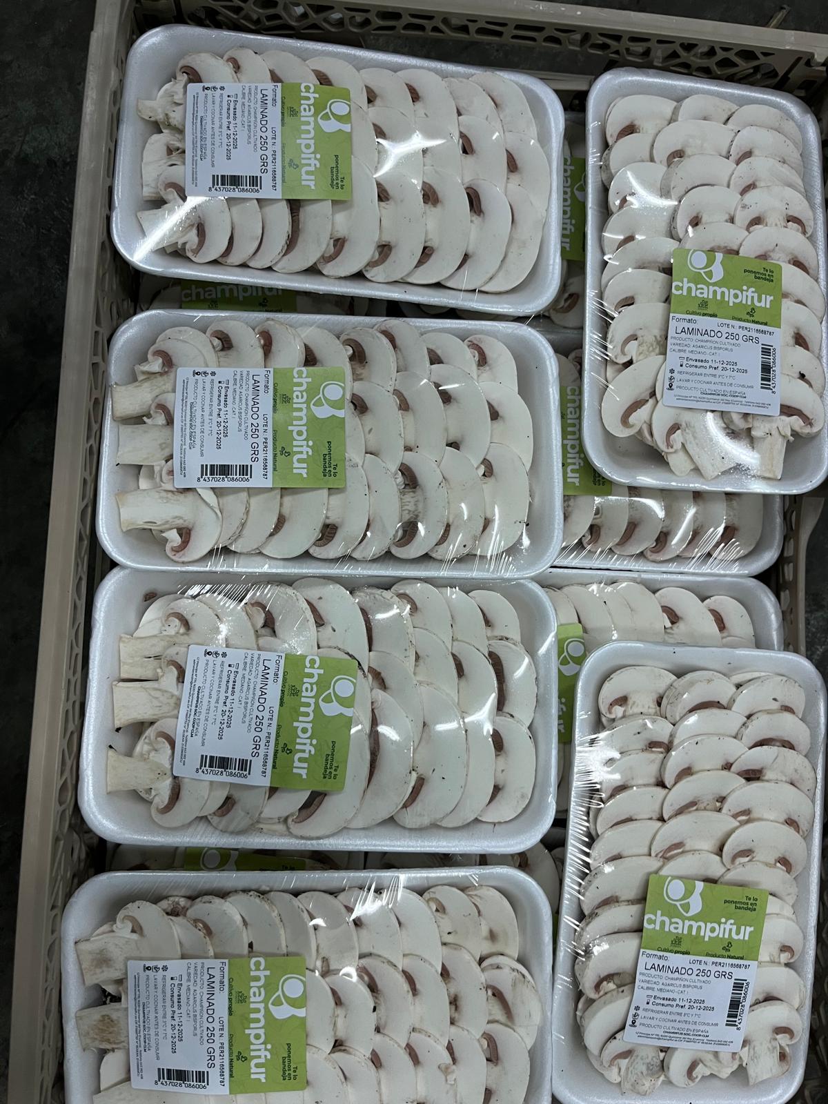 Champiñón laminado