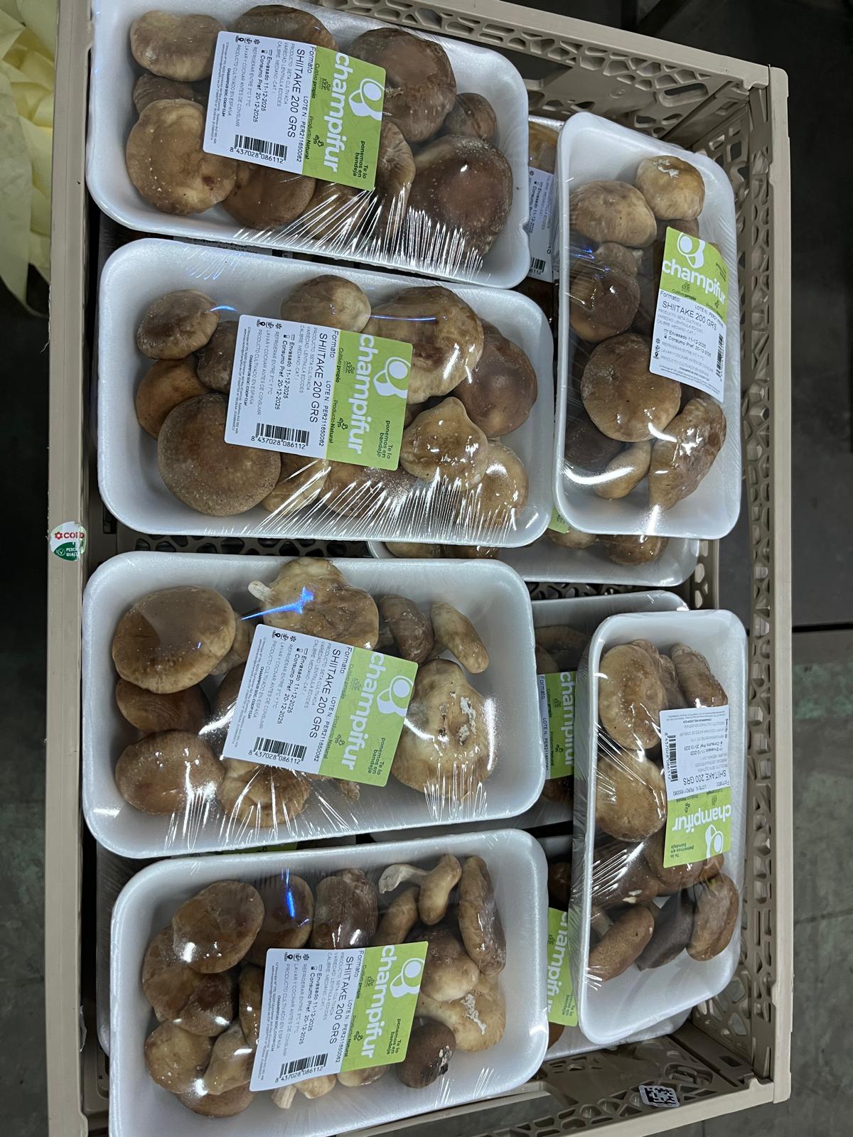 Shiitake